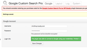 Google Custom Search Settings
