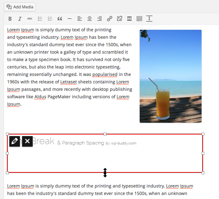 WordPress Paragraph Spacing Line Break Plugin FAQ