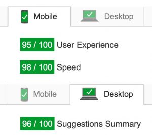 WP-Buddy.com PageSpeed Insight Ratings